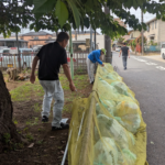 ごみ収集・分別・不法投棄対策｜千葉市議会議員 前田健一郎 公式サイト