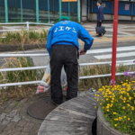 ゴミ拾い｜千葉市議会議員 前田健一郎 公式サイト